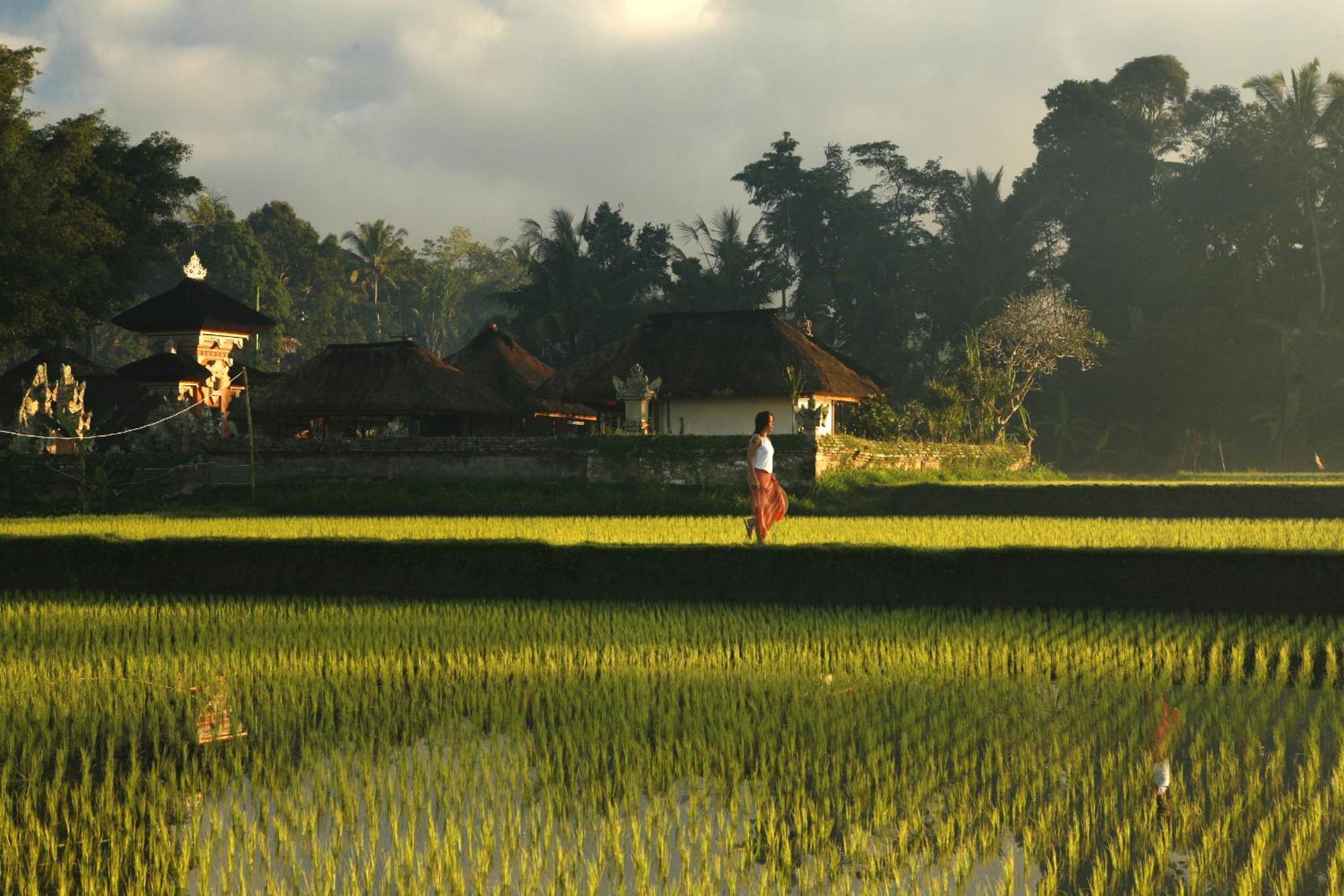 Kayumanis Ubud Private Villas & Spa Зручності фото